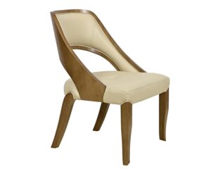 Buy Rio Dining Chair in Bangalore at Best Price - Cherrypickindia
