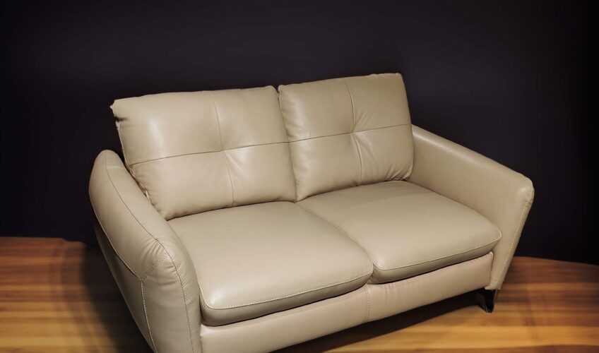 Leatherette Sofa Design